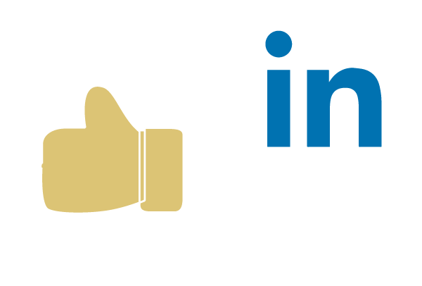 Chapel and York Linkedin